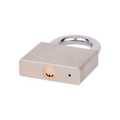Cerradura de alta seguridad de metal 40 mm 50 mm 60 mm 70 mm Cerradura de almohadilla de hierro