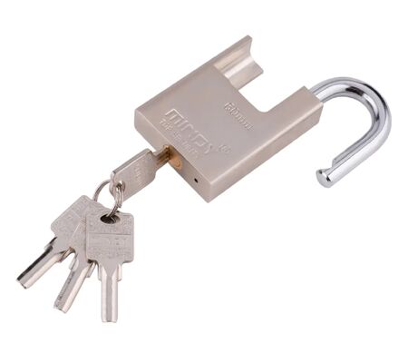40mm 50mm 60mm 70mm Cerrojo de alta seguridad Cerrojo de plata con llave
